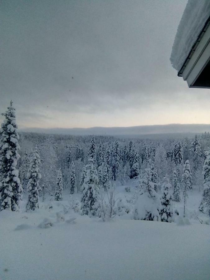 Metsorinne Huoneisto Kotila