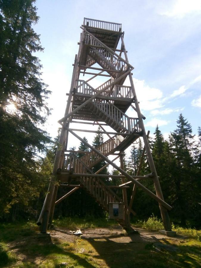 Metsorinne Kotila